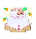 お正月うにくん（個別スタンプ：8）