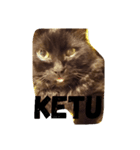 black cat "KETU"（個別スタンプ：1）