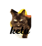 black cat "KETU"（個別スタンプ：4）