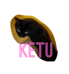 black cat "KETU"（個別スタンプ：6）