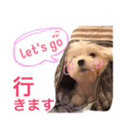 マルコくん！（個別スタンプ：5）