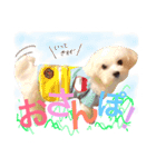 マルコくん！（個別スタンプ：11）