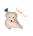レンぽん（個別スタンプ：3）