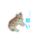 レンぽん（個別スタンプ：4）