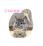 Tsuji Zoo（個別スタンプ：2）