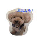 Tsuji Zoo（個別スタンプ：4）