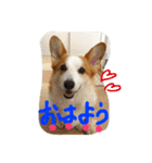 えりー スタンプ（個別スタンプ：7）