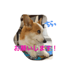 えりー スタンプ（個別スタンプ：14）