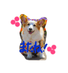 えりー スタンプ（個別スタンプ：16）