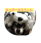 紋次郎（個別スタンプ：4）