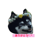 紋次郎（個別スタンプ：7）