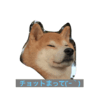 紋次郎（個別スタンプ：8）