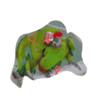 animal Nitijyo（個別スタンプ：5）