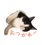 メル ☆ ノア  その2（個別スタンプ：1）