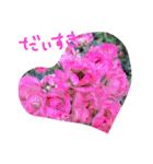 元気になれる彩りお花スタンプです♪（個別スタンプ：6）