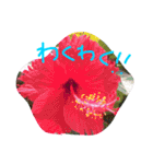 元気になれる彩りお花スタンプです♪（個別スタンプ：10）