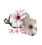元気になれる彩りお花スタンプです♪（個別スタンプ：13）