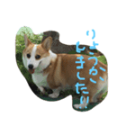 KINAKO to yukainanakamatachi（個別スタンプ：2）