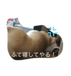 KINAKO to yukainanakamatachi（個別スタンプ：5）