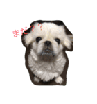 もこ♡くう（個別スタンプ：5）