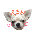 R＆L＆SOU（個別スタンプ：2）