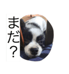 R＆L＆SOU（個別スタンプ：4）