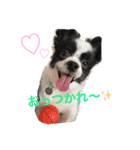 R＆L＆SOU（個別スタンプ：5）