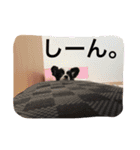 R＆L＆SOU（個別スタンプ：6）