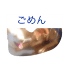 いちくんと愉快な仲間達5（個別スタンプ：1）