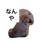 いちくんと愉快な仲間達5（個別スタンプ：4）