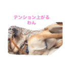 いちくんと愉快な仲間達5（個別スタンプ：10）