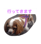 いちくんと愉快な仲間達5（個別スタンプ：15）