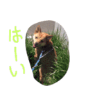 いちくんと愉快な仲間達5（個別スタンプ：16）