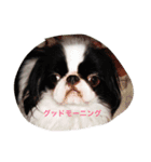 さとちんファミリー（個別スタンプ：2）