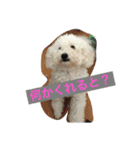 りょうくんの日常（個別スタンプ：2）