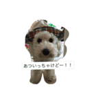りょうくんの日常（個別スタンプ：4）