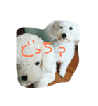 りょうくんの日常（個別スタンプ：5）