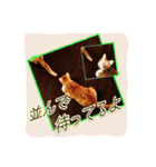 4にゃん十色（個別スタンプ：8）