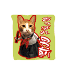 4にゃん十色（個別スタンプ：18）