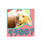 4にゃん十色（個別スタンプ：23）