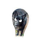 The black dog.（個別スタンプ：2）