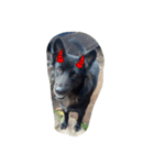 The black dog.（個別スタンプ：5）