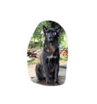 The black dog.（個別スタンプ：9）