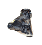 The black dog.（個別スタンプ：15）