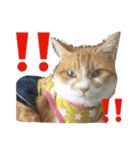 毎日ダラダラダラけねこ（個別スタンプ：2）