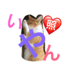 毎日ダラダラダラけねこ（個別スタンプ：10）