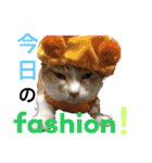 毎日ダラダラダラけねこ（個別スタンプ：12）