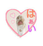 毎日ダラダラダラけねこ（個別スタンプ：17）