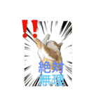 毎日ダラダラダラけねこ（個別スタンプ：18）
