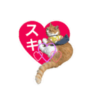 毎日ダラダラダラけねこ（個別スタンプ：24）